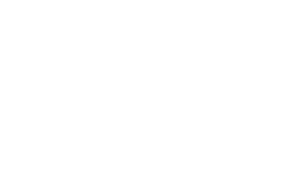 arcadis